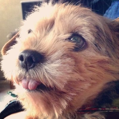 ToMtOmさんのプロフィール画像