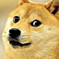 D (@pcfew1) 's Twitter Profile