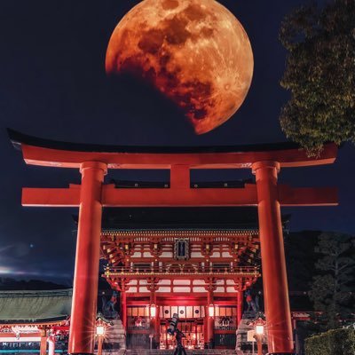 BO438969739's profile picture. 大阪