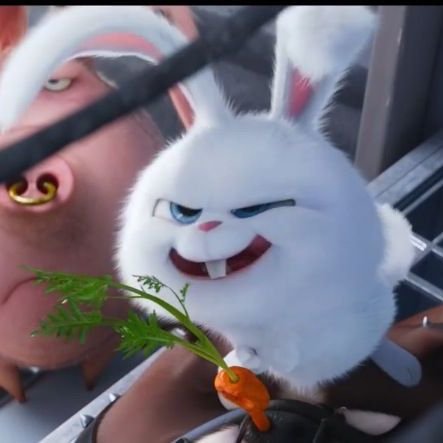 TYRabbit_'s profile picture. ชอบกิน🥕 รักแครอท🥕ต่ายดื้อนะ เลี้ยงไหวป่าว~~🐰
.
.
.
❌ไม่ตอบ❌ = ต่ายหลับน้าาาา🐇🌿
#ต่ายดื้อ🥕