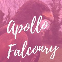 Apollo Falconry (@apollofalconry) 's Twitter Profile