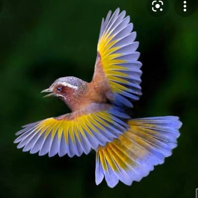 pms0OGSIKeJe1B2's profile picture. 浅田真央ちゃんが大好き！生涯応援！
ここ最近中国ドラマに目覚めました　
琅琊榜、鳳凰の飛翔、スン・リーさんの作品大好き！