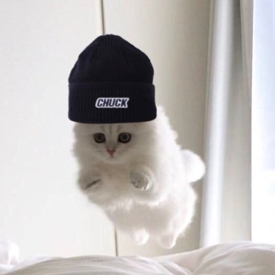 천천히 오래오래 함께 하자