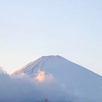 ムー (@on_rxc) 's Twitter Profile