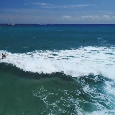 choosy8's profile picture. 💚(^_^o)^△^)　
…
***The hunter becomes the hunted.***