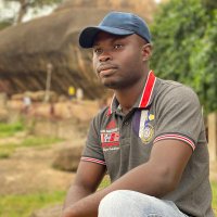 Israel O. Tanimowo (@itanimowo) 's Twitter Profile