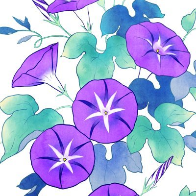 shuraさんのプロフィール画像