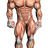 bankhead42's profile image