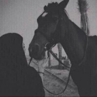 • (@xoo_im) 's Twitter Profile