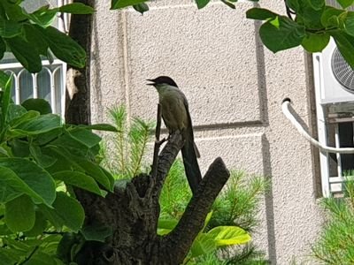 Dday_Drawing_ac's profile picture. 그림 공부 계정. 텀이 불규칙합니다. | 수채화 그림 프로그램 잊지 말 것