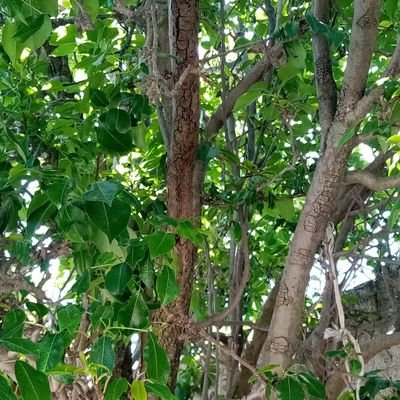 ElenaMo21433093's profile picture. Viajar