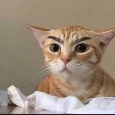 PradyotaR's profile picture. Teet tweet twaayt