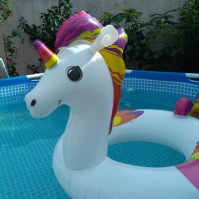 webSPELLChantal's profile picture. Professional Unicorn For @webSPELL_GAMING