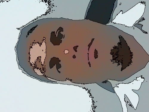 RodrigoSemeai's profile picture. O estandarte da Cruz proclama ao mundo A morte de Jesus e a sua glória,Porque o Autor de todo o universo Contemplamos suspenso no madeiro