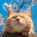 ๆฃ่ฑ (@s_fai) Twitter profile photo ๆฃ่ฑ (@s_fai) Twitter profile photo