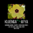 Twitter result for Gardening Direct from KujengaAfya
