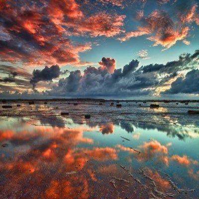 F76042615's profile picture. S水さん→Y塚さん→H高さん→アクティブ筋肉マン 8/11サイン⤴️ 🌱Sで人生変える！ 夢全部叶える！周りをびっくりさせる！ 今年で6⭐️からのLS13!💪🔥🔥