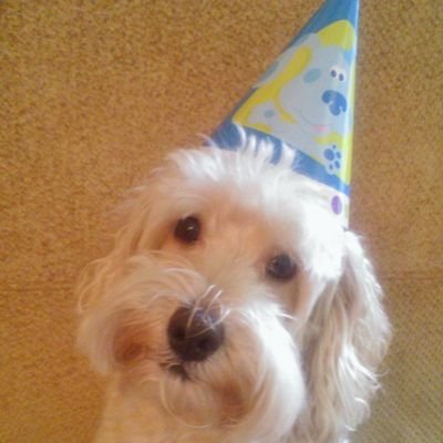 NWBiscotti's profile picture. Granddaughter of 🇮🇹 Immigrants.
♥️ Pro-choice. Pro-mask. Believes science. Humanist. DV survivor.
#sheldricktrust