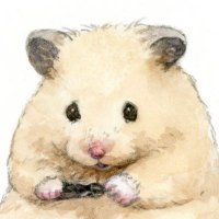 しゃも (@jamspdg) 's Twitter Profile