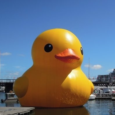 DaRealEpicDUCK's profile picture. cool