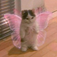 oudiye (@inhasel) 's Twitter Profile