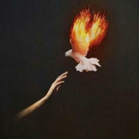 H. (@nolurrbisusun) 's Twitter Profile