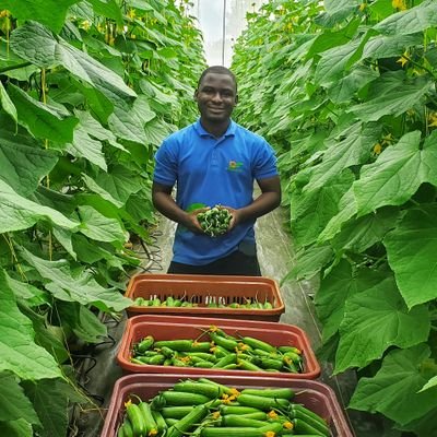 Agronomist | Farm consultant | MD |
Trainer of trainers | Mashav Alumni | Researcher | Agritech enthusiast. 🇬🇭