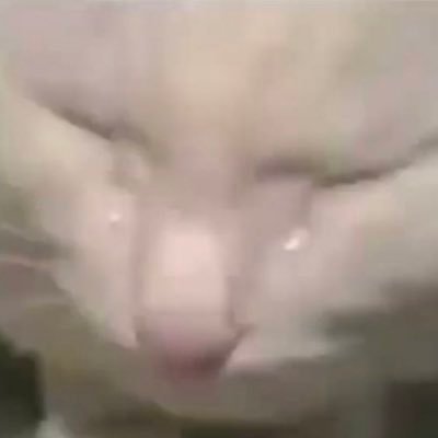 straightsplain's profile picture. straight people (usually gc) explain lgbtq+ issues to lgbtq+ people, caught in 4k. dm submissions 🇺🇦