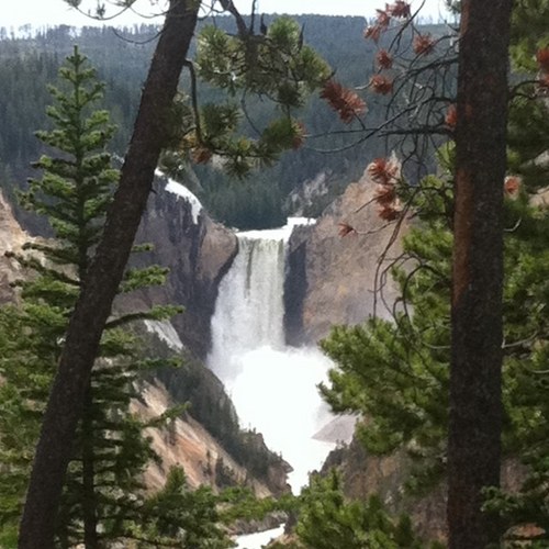 Dr_GDog's profile picture. trying to follow @Jesus :-)