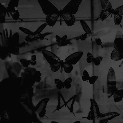 DamarisHxn's profile picture. frases Hot 🥀