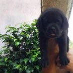 mer2osber's profile picture. 1997