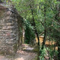 Rosario Moro (@roscuatrolatas) 's Twitter Profile Photo Rosario Moro (@roscuatrolatas) 's Twitter Profile Photo