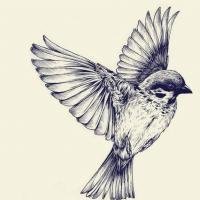 living_in_clip (@wordsandsounds) 's Twitter Profile Photo