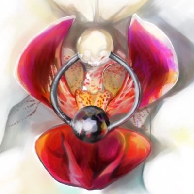 何奈钓鱼白さんのプロフィール画像
