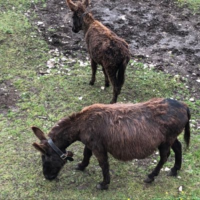 PratsAlvarez's profile picture. Présidente fondation PROFA Ancienne présidente du GREA. vice-présidente de l’Ilot. Membre du comité de Cap-contact