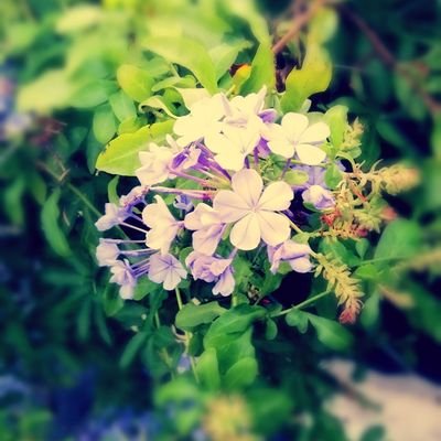 pynix2000's profile picture. 