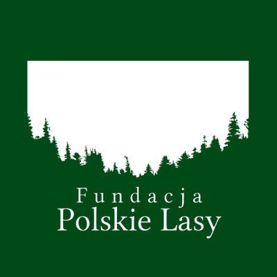 Organizacja pozarządowa