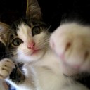 Gene - @GeneChen774 - Twitter