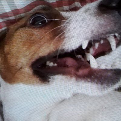 Unraveling the 🌎 of #Finance, #Crypto, #GoodFood, #Space and a bit of #Law. 😏
#FinanceMarketsApprentice📈
❤my🐶
Scammers F..off I'll report and block all🚫👊