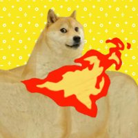 Maximum Đoge (@maximumdoge) 's Twitter Profile