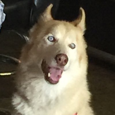 Pete65948469's profile picture. Executive Chef, business owner, crypto enthusiast, horticulture, landscaping and poker.