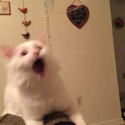 ekmekarasisero's profile picture. varoluşsal sancılar ve akademik basarı