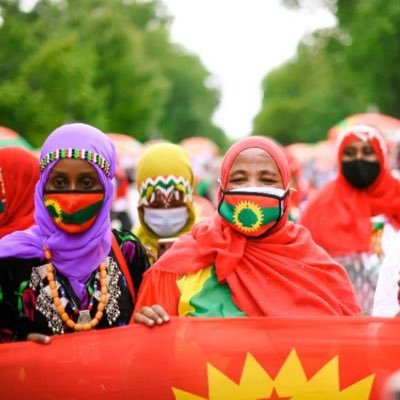 nasiromar2's profile picture. 