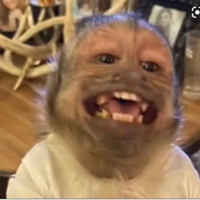 karelygomezn's profile picture. Arquitecta Culichi🍅