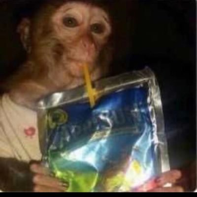 vpam25who's profile picture. 