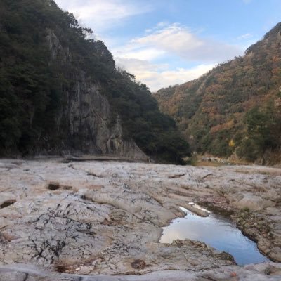 Optimizer_Yuto's profile picture. 