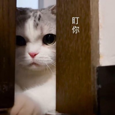 Grimmie10748004's profile picture. Learning Science & Language all my life!
Now learning German and French.
Like Japanese Manga