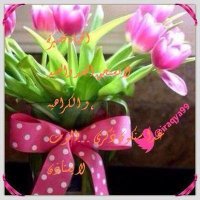 عراقيه 🌷(@iraqya9) 's Twitter Profile Photo