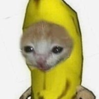 banan (@largetwat) 's Twitter Profile Photo banan (@largetwat) 's Twitter Profile Photo