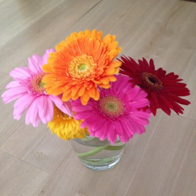 mitchman_2525's profile picture. 好きな時間に起きたいzzz